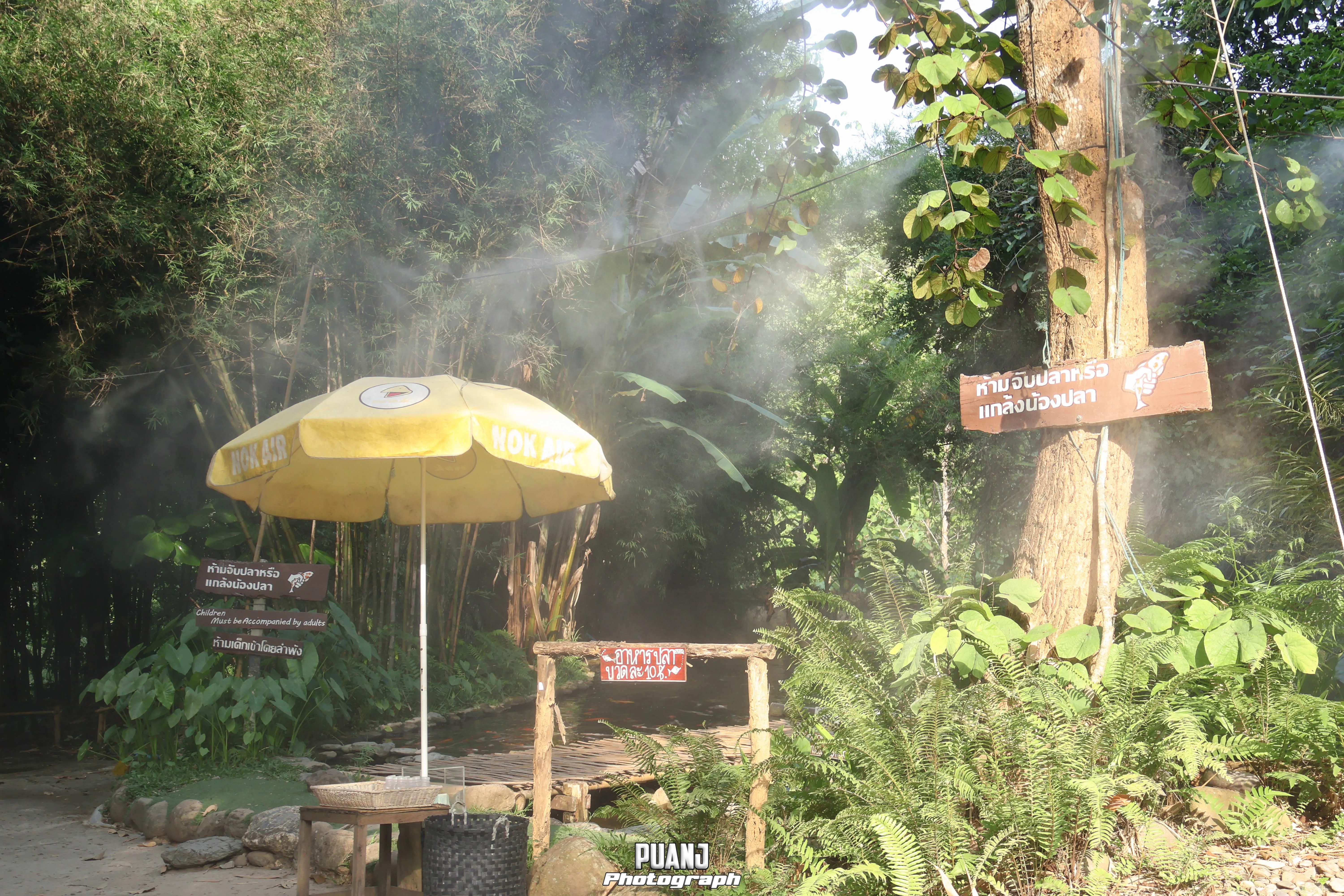 ฟาร์มเห็ดบ้านหัวน้ำ
