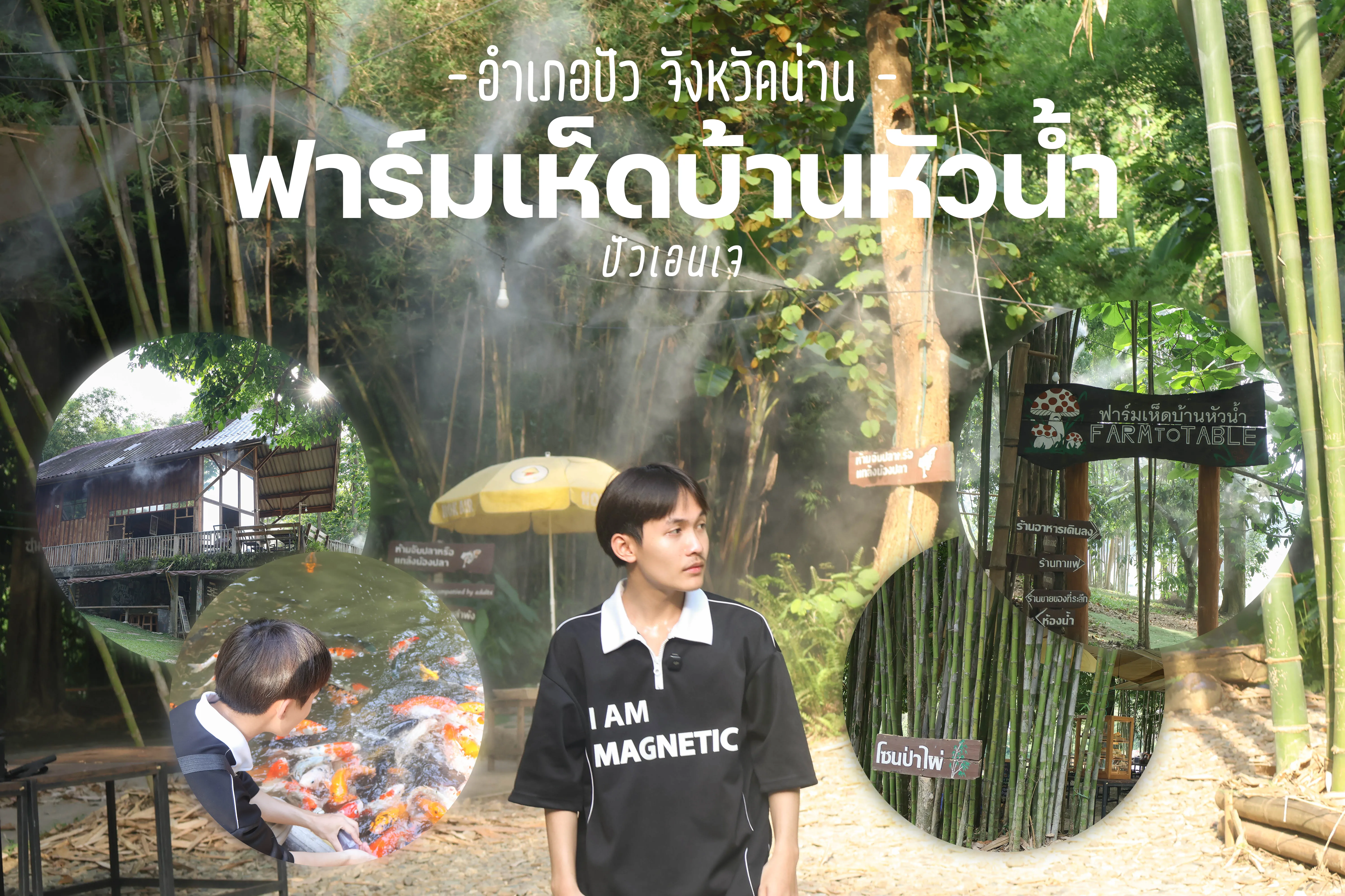 Ban Hua Nam Mushroom Farm ฟาร์มเห็ดบ้านหัวน้ำ