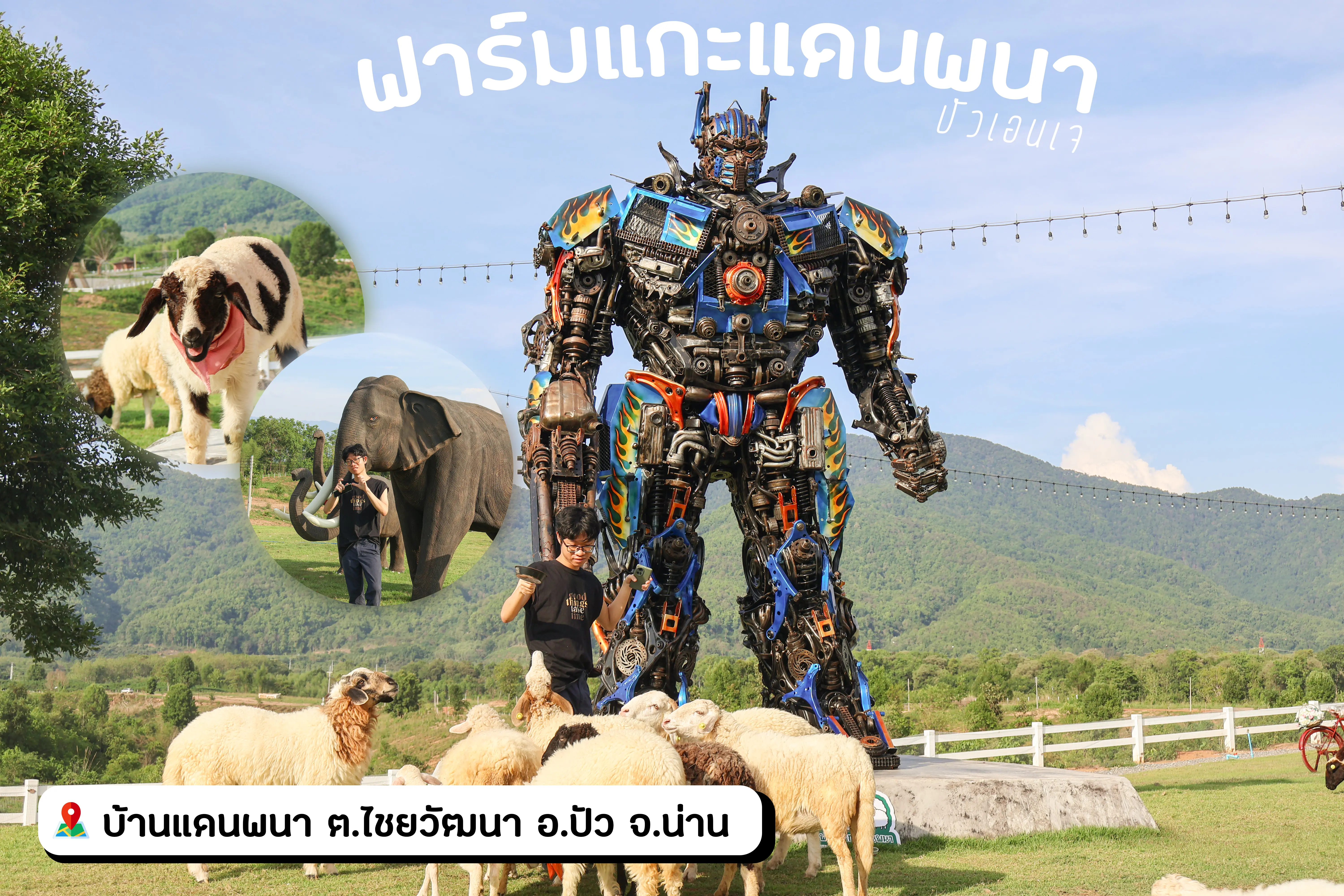  ฟาร์มแกะแดนพนา